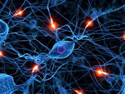 neurony-afrimacje